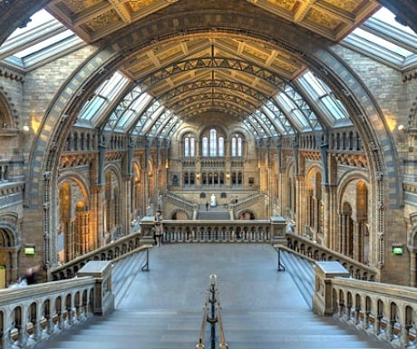 Things in london with kids - natural history museum