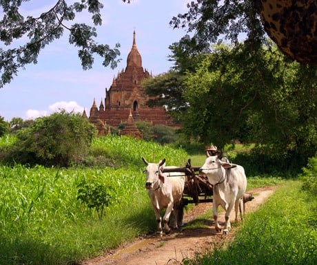 bagan-beautiful-in-the-green-season