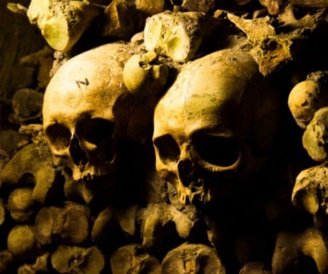 half-term-horrifying-highlights-catacombs