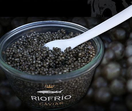 RioFrio Caviar