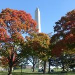 6 top tips for a perfect weekend in Washington, DC