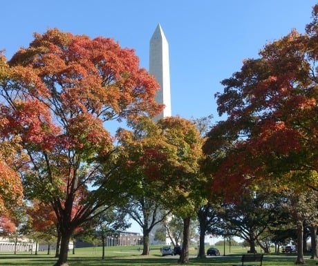 6-tips-for-a-perfect-weekend-in-washington-dc