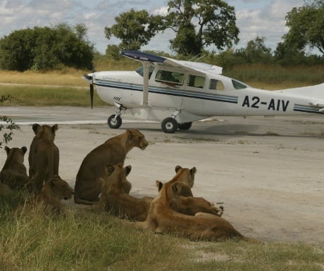 botswana-plane