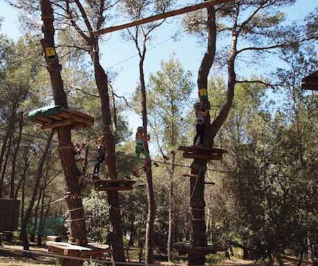 tree-tops-high-ropes-provence