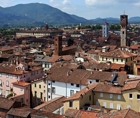 Lucques (Lucca), Italie : vue depuis la tour Guinigi