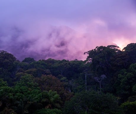 sinharaja-rainforest-experience-travel-group-sri-lanka-resized