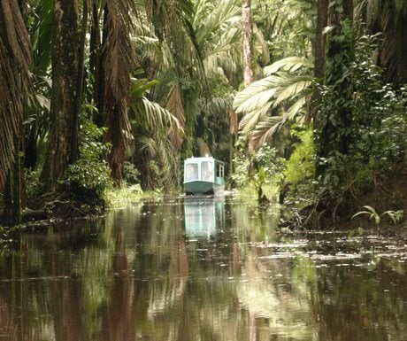 Tortuguero Canal