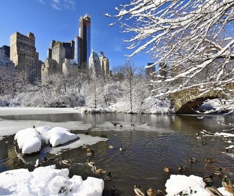 New York in the snow