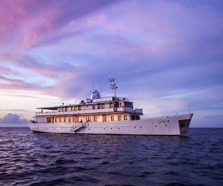 Top 6 luxury Galapagos yachts