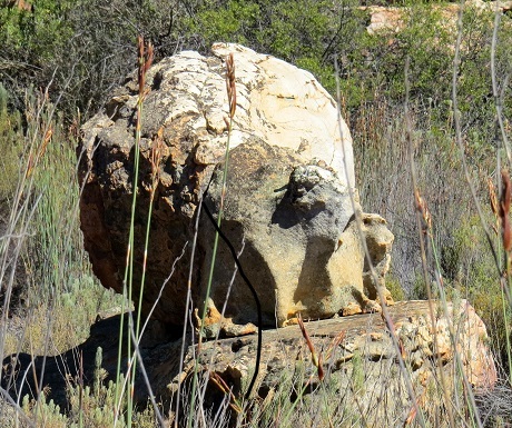 Kagga Kamma, rock skull