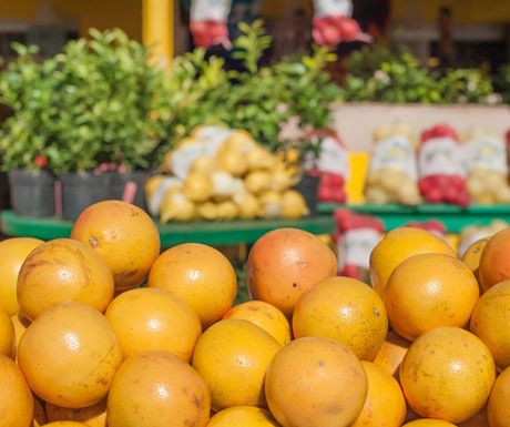 farmers market