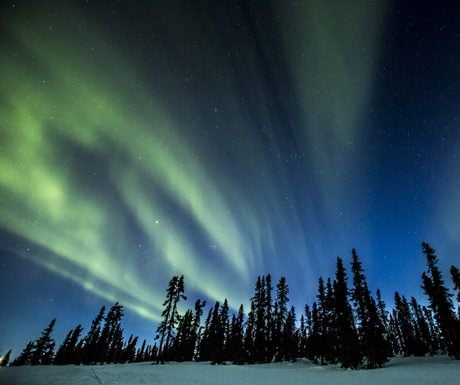 Northern Lights - Yukon