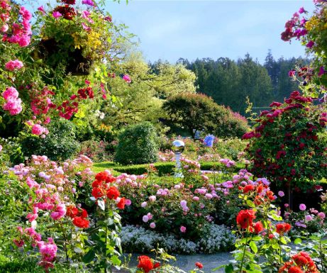 Flower garden near shop me