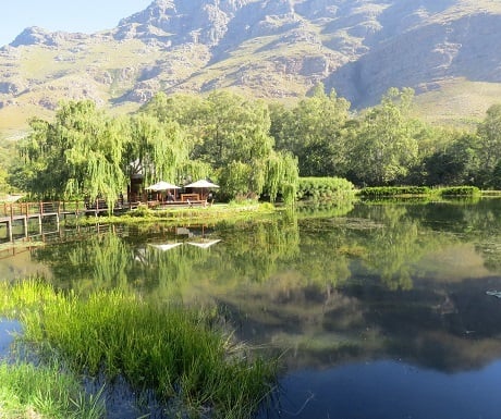 7-Restaurants-Cape-Winelands-Postcard-Cafe-lake