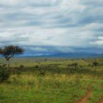 5 reasons to do a rainy season safari
