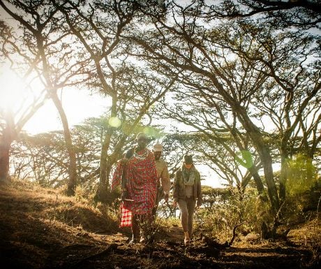 Ngorongoro Crater