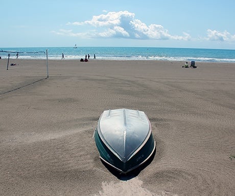 Delicious drives Spain Benicassim