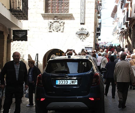 Morella buzzing on market day