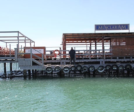 Musclarium Delta de l'Ebre boat trips