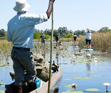 Paddle boarders Botswana