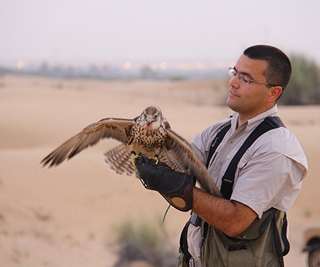 Private-Falconry-Experience-1