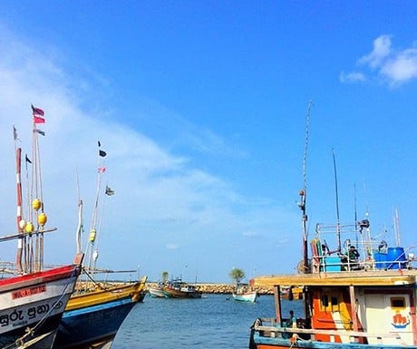 TASTE OF TANGALLE - MARKET & HARBOUR