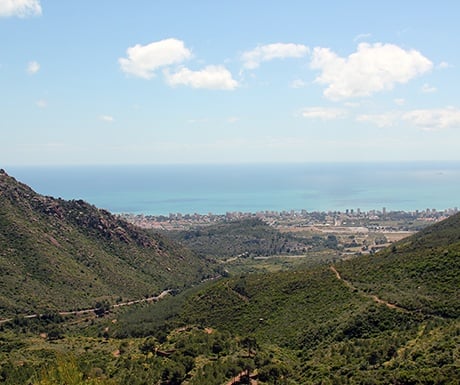 delicious drives spain desierto de las palmas views