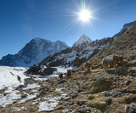 Everest Base Camp going back