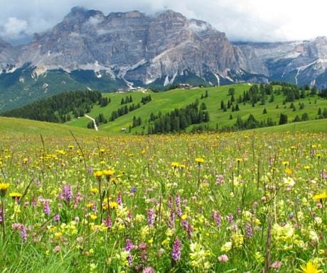 Dolomites Mountains, Italy