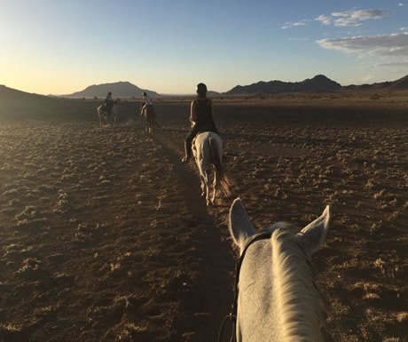 Horse ride at sunset