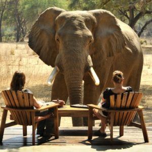 5 of Africa’s best eco-lodges