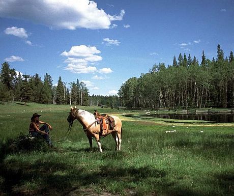 Top 5 luxury ranches in North America