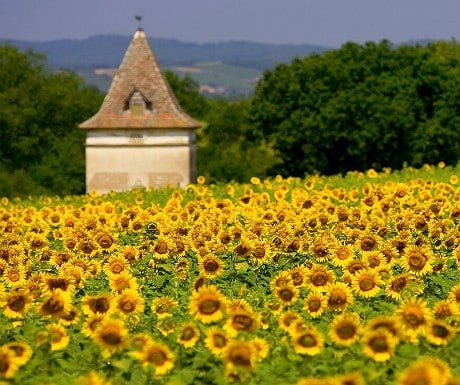10 reasons why Occitanie may be the new Provence