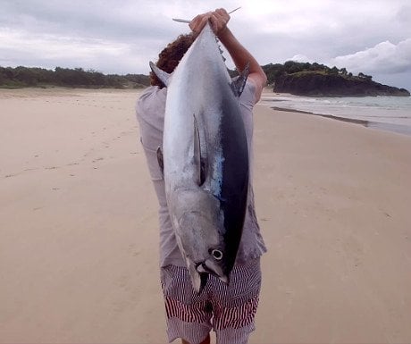 Video of the week: Drone fishing for tuna