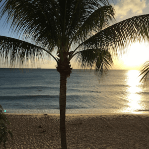 5 hidden gems to discover in Barbados