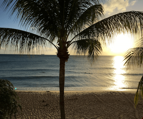 5 hidden gems to discover in Barbados