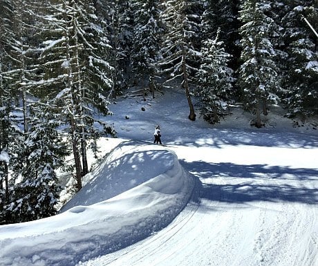 Vienna Winter Sports: skiing close to Vienna