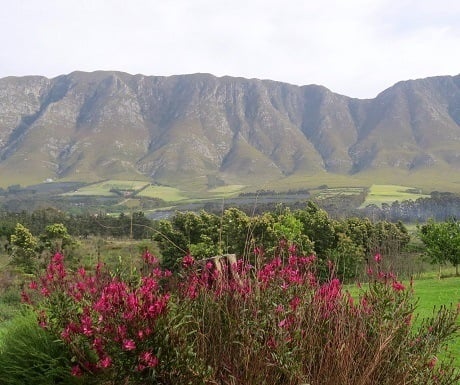 Hemel-en-aarde-wine-estates-mountains