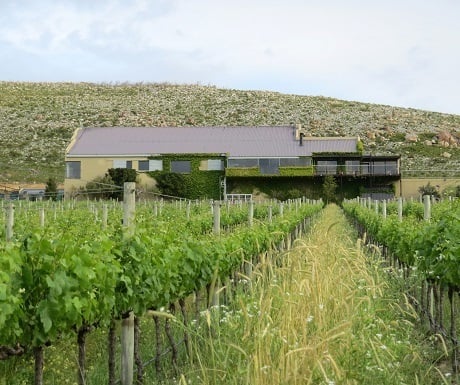 Hemel-en-aarde-wine-estates-newton-johnson