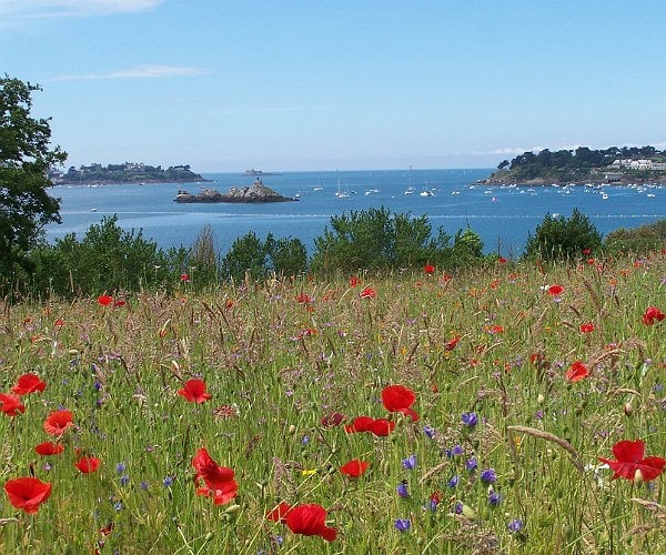 St Malo: rock around the rocks