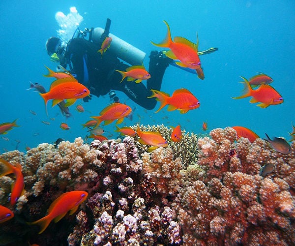 5 reasons why you should take your teenager on a dive vacation