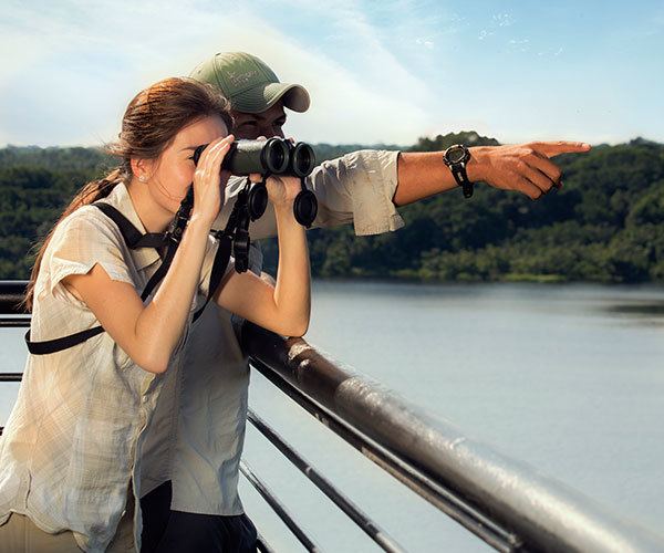 napo-wildlife-center-tower