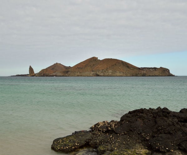 genovesa galapagos