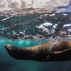 15 reasons to visit the Galápagos Islands