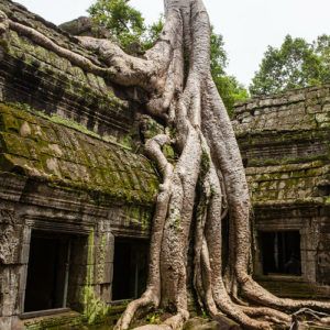 6 of the best temples to visit at Siem Reap, Cambodia