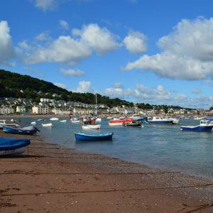 7 fun things to do in South Devon