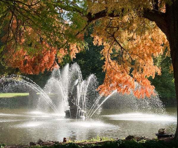 Autumn Colour at Kew Gardens © RBG Kew