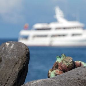 Luxury - the new trend in Galapagos