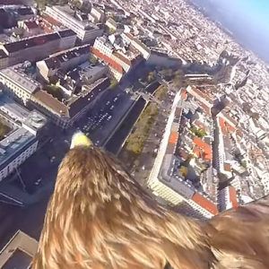 Travel video of the week: Vienna from an eagle eye's view