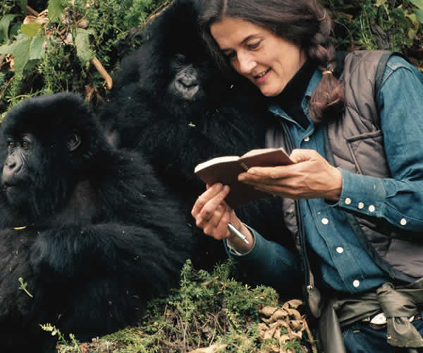 Dian Fossey Hike